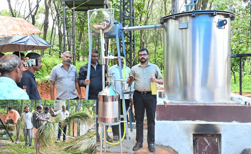 ആനശല്യമുള്ളയിടങ്ങളിൽ ഇഞ്ചിപ്പുൽ കൃഷിയുമായി കെവികെ